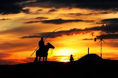 Монгол хийморь, Морин эрдэнэ фото