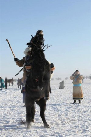 Монгол хийморь, Морин эрдэнэ фото