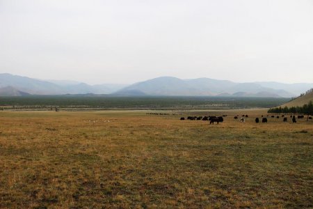 САЙХАН МОНГОЛ ОРОН ФОТО