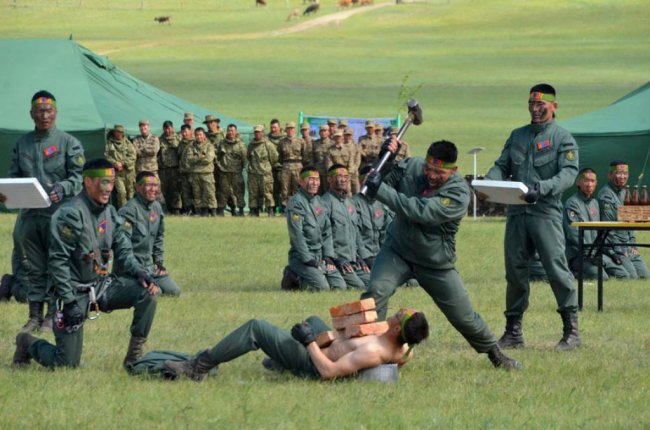 Mongolian Army Photo