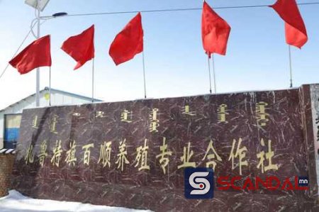 Хамтдаа ашиг хүртсэн “Тусгай хоршоо+ малчин айл” загвар